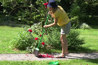 aya centre phone number